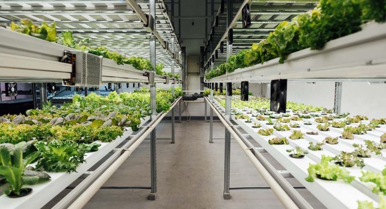 hydro farm